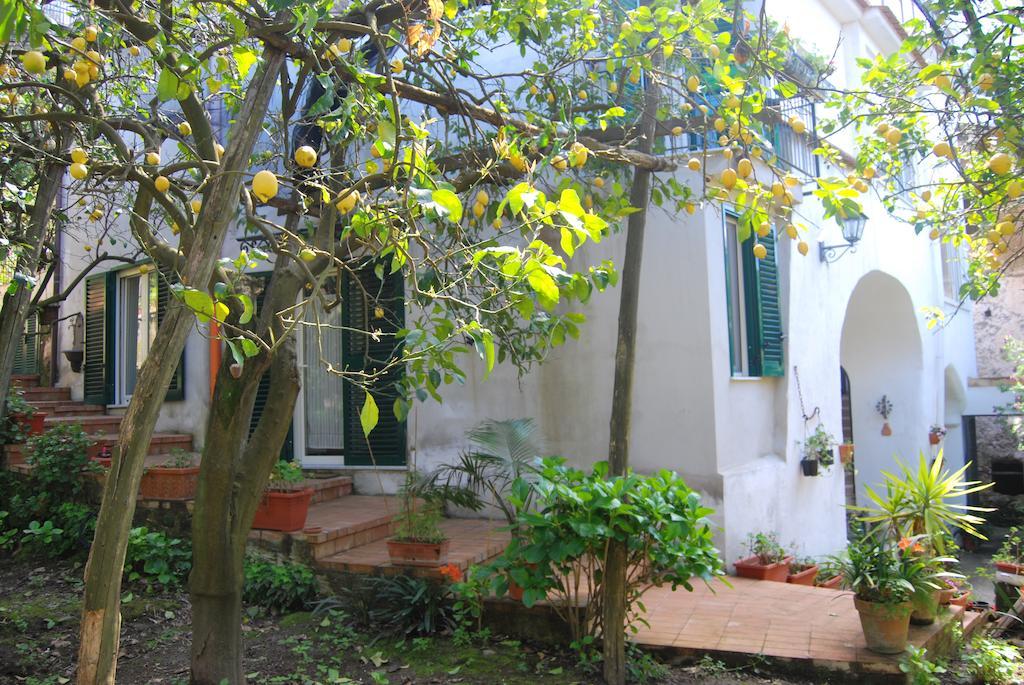 Sorrento Studios Lemons Hill חדר תמונה