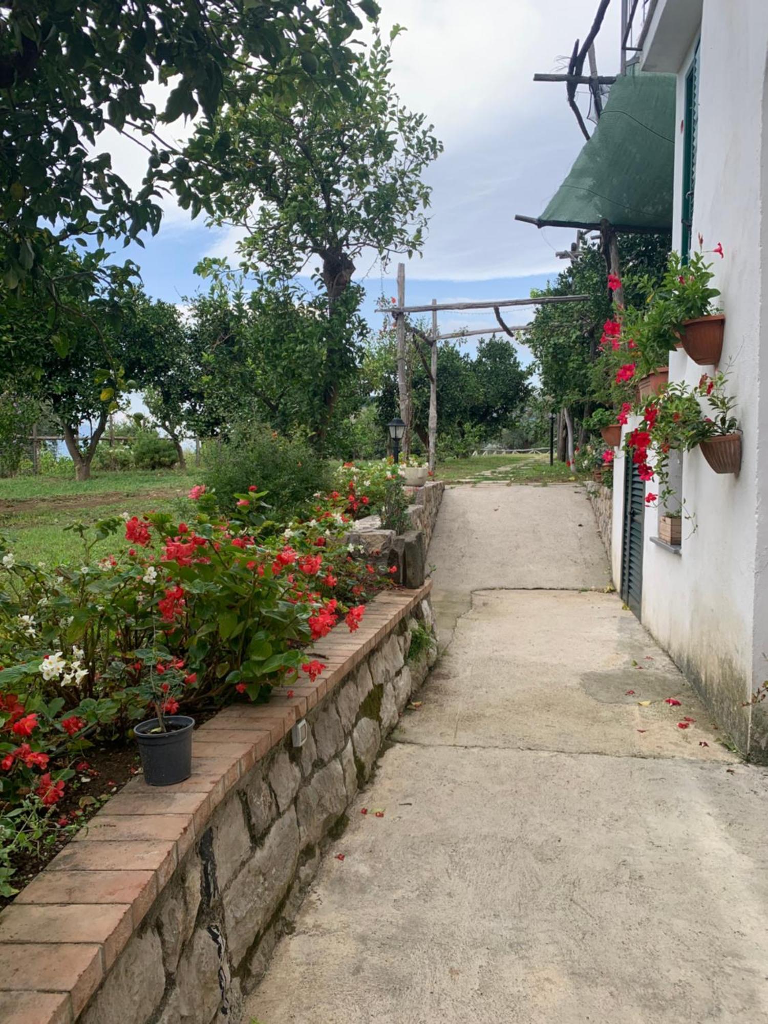 Sorrento Studios Lemons Hill מראה חיצוני תמונה