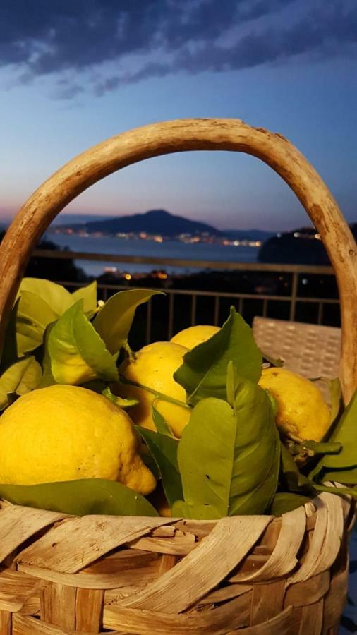 Sorrento Studios Lemons Hill מראה חיצוני תמונה