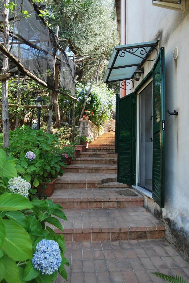 Sorrento Studios Lemons Hill מראה חיצוני תמונה